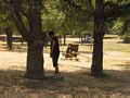 click thumbnail to get large version