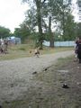 click thumbnail to get large version